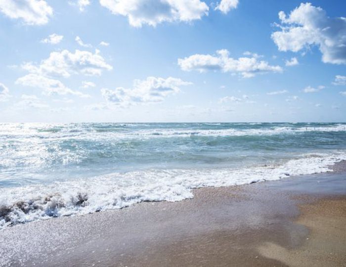 Услуги, развлечения и спорт - Отель Beton Brut / Бетон Брют